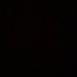 Meet your Posher, Evelia